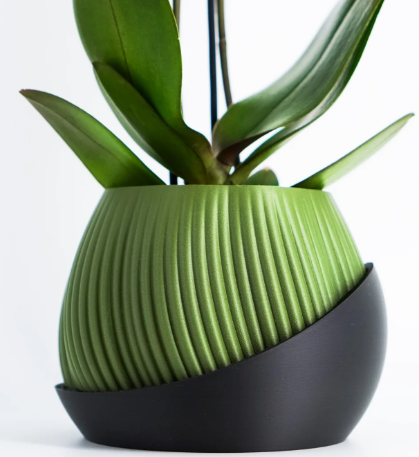 Bloomshell Planter
