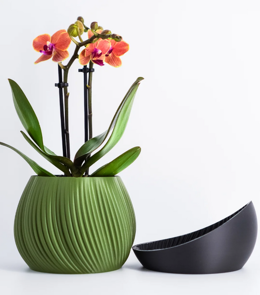 Bloomshell Planter