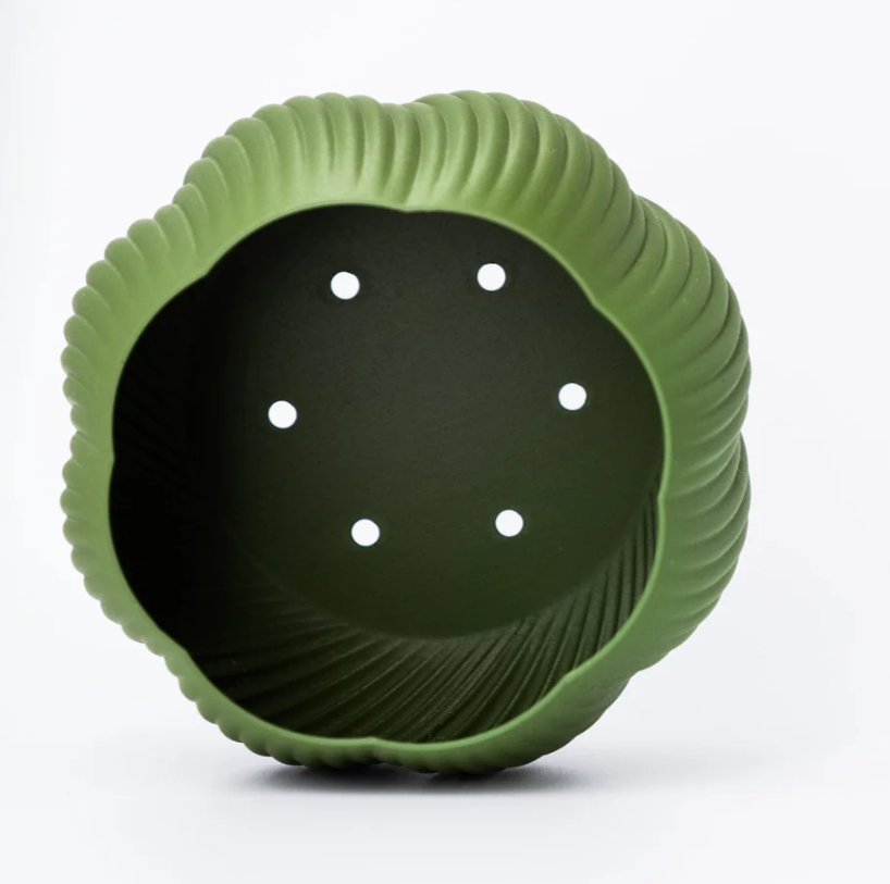 Bloomshell Planter