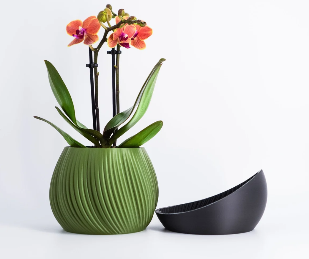 Bloomshell Planter