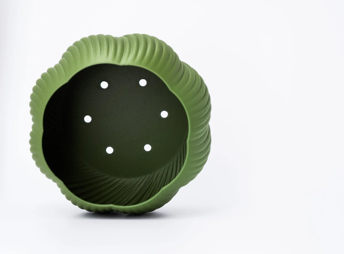 Bloomshell Planter