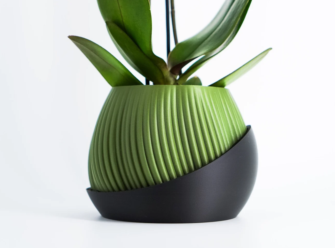 Bloomshell Planter