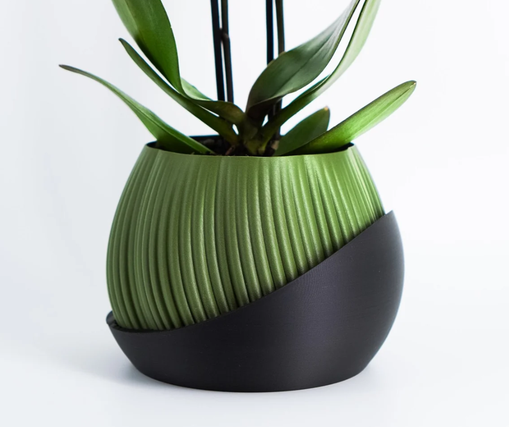 Bloomshell Planter