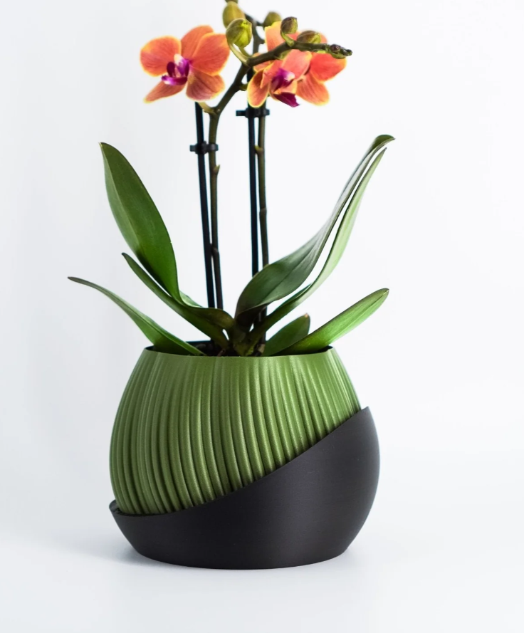 Bloomshell Planter