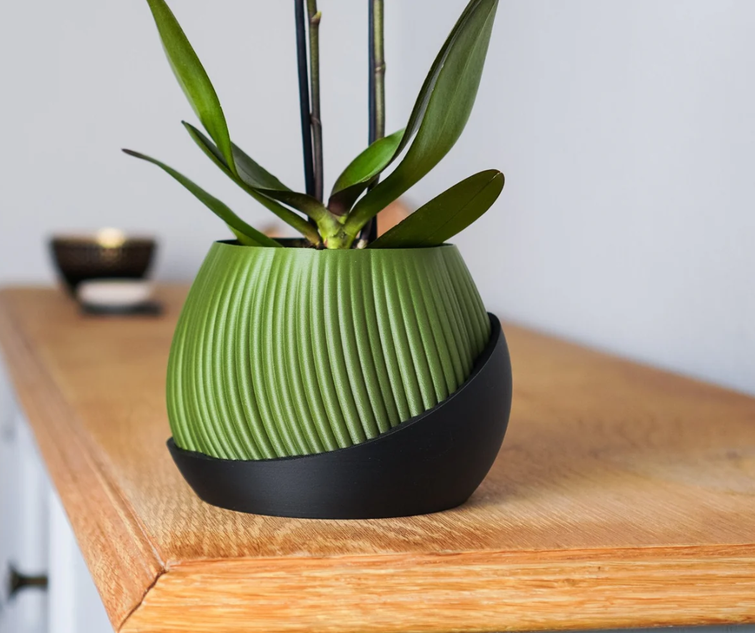 Bloomshell Planter