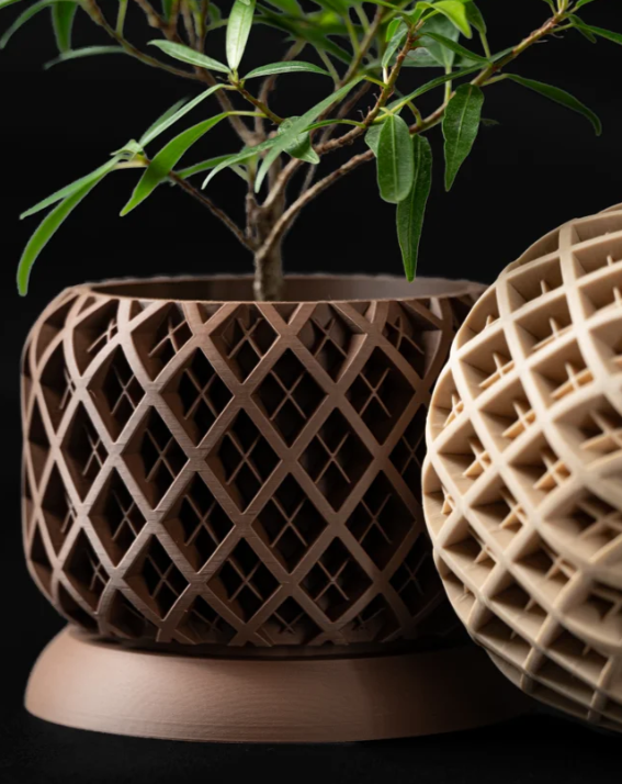 Latticea