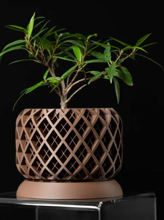 Latticea