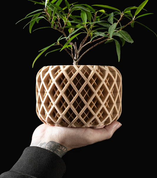 Latticea