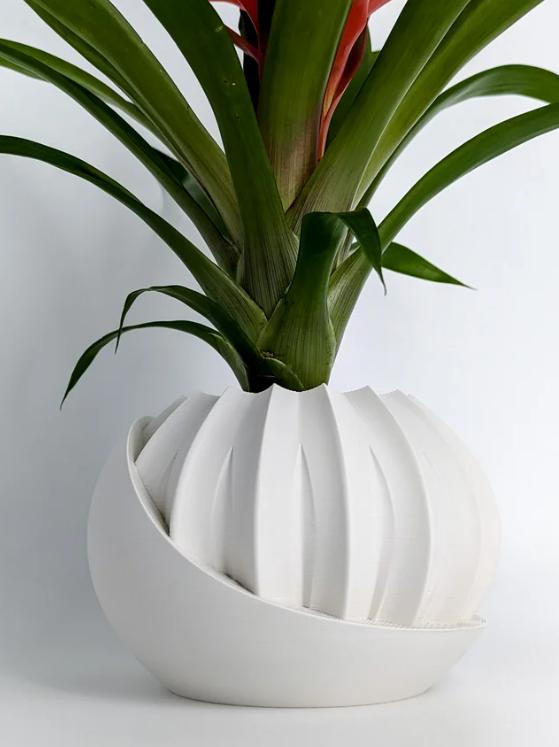 Hidden Lotus Planter